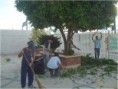 Trabajo social